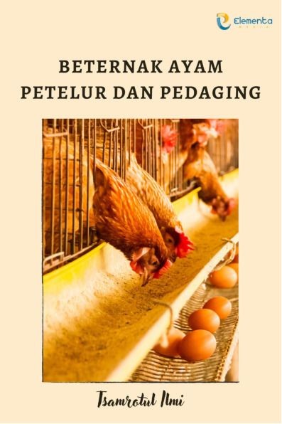 Beternak Ayam Petelur dan Pedaging
